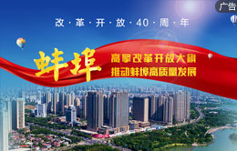 蚌埠：高擎改革开放大旗 推动蚌埠高质量发展