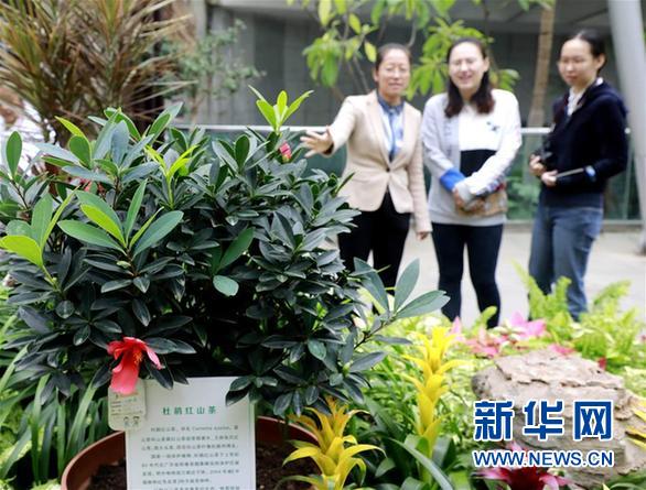 （圖文互動）（1）北京世園會200余個特有珍稀植物品種搬入北京植物園