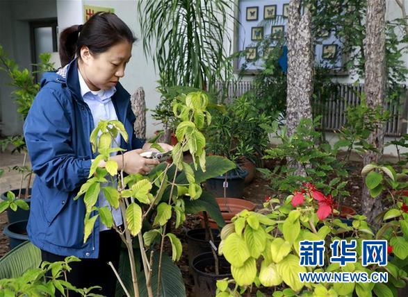 （圖文互動）（2）北京世園會200余個特有珍稀植物品種搬入北京植物園