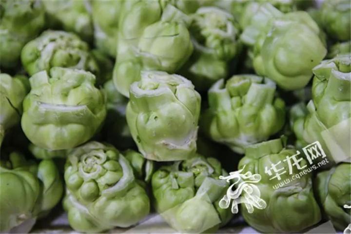 涪陵榨菜的原料青菜头.资料图片