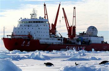 “雪龍”號船邊的南極企鵝