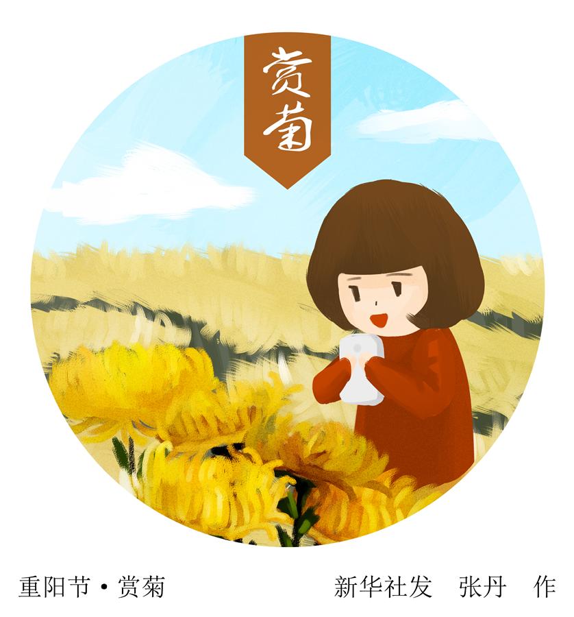 （图表·插画）[重阳节]重阳节·赏菊