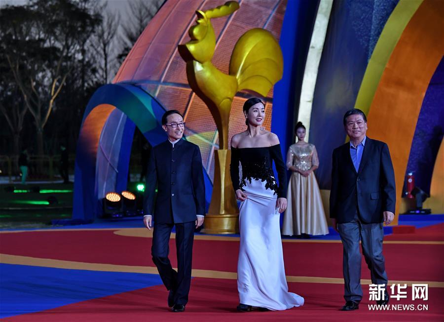 （新华视界）（9）第28届中国金鸡百花电影节红毯仪式举行