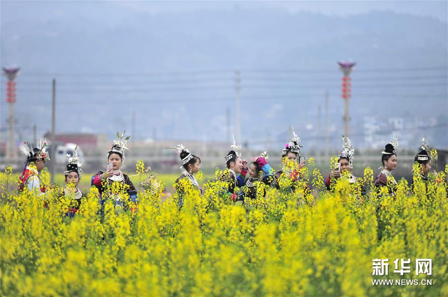 在贵州从江县贯洞镇龙图侗寨,侗族姑娘穿著节日盛装站立在油菜花田间