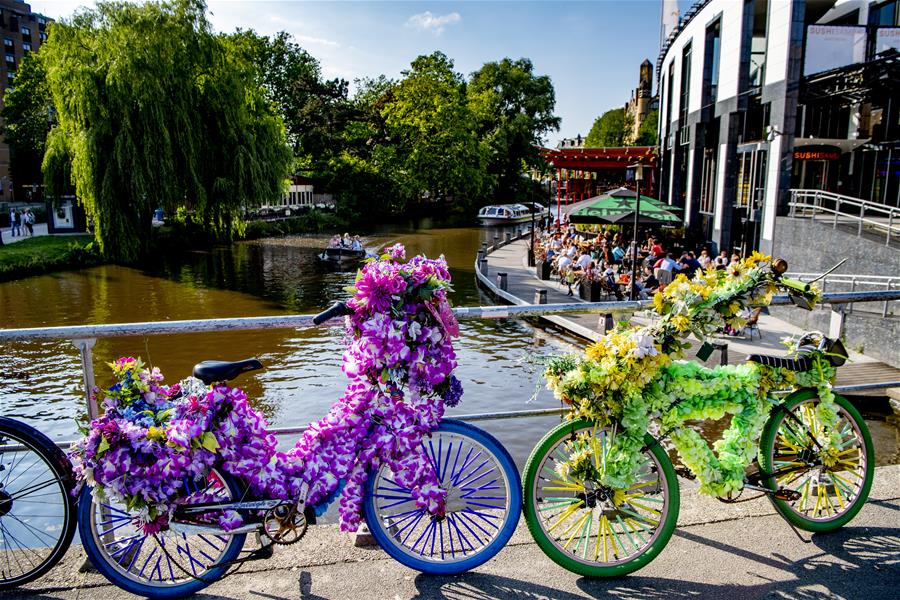 （国际·北京世园会）（3）荷兰城市的绿色生活