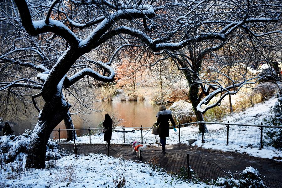 （新华视界）（2）纽约：中央公园首场雪景迎游客