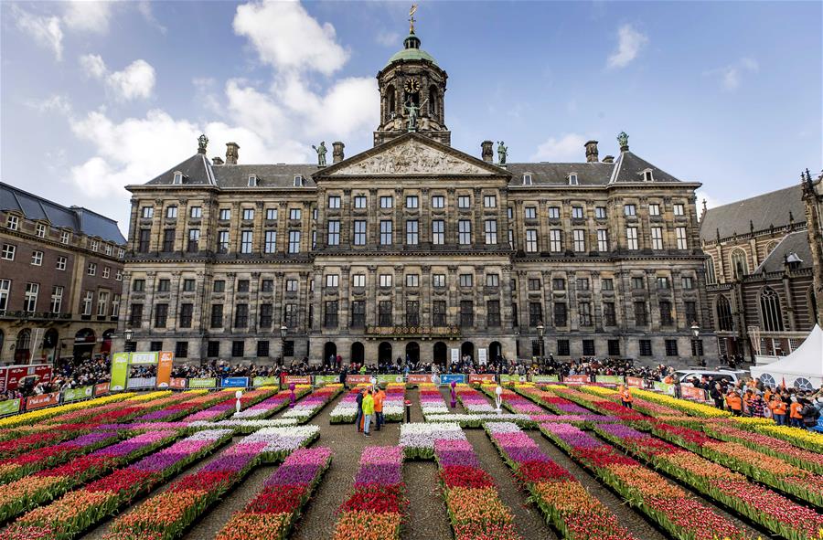 （外代二线）（4）荷兰庆祝郁金香日