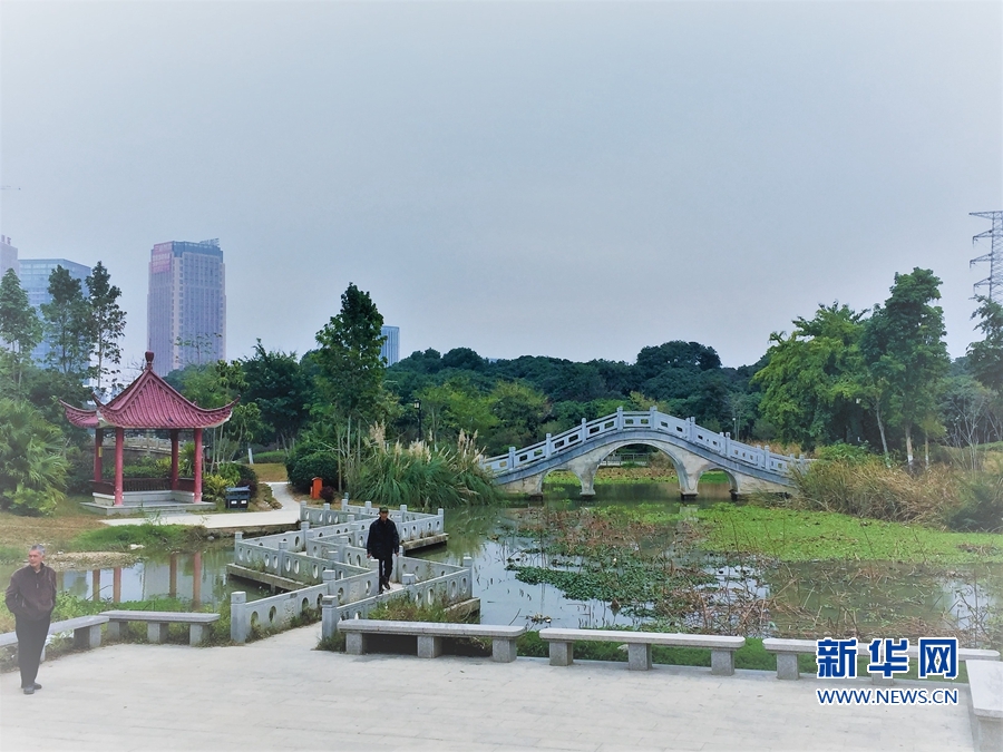 【组图】一条荔林道 处处芳菲景