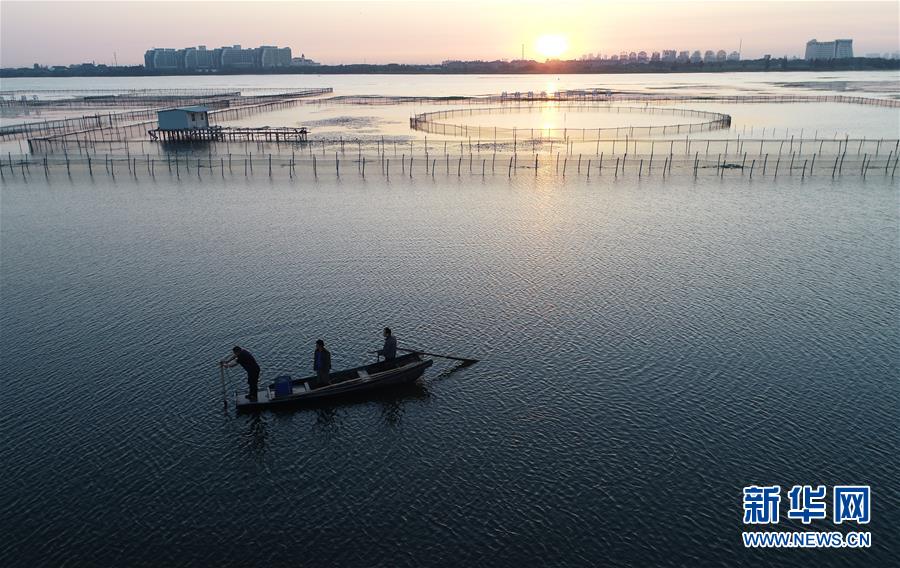 （图片故事）（6）“好水出好蟹”——一个阳澄湖传统养蟹人的故事