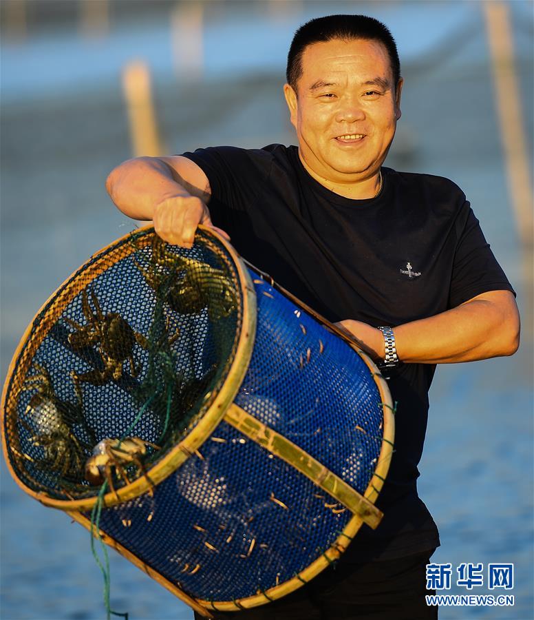 （图片故事）（9）“好水出好蟹”——一个阳澄湖传统养蟹人的故事