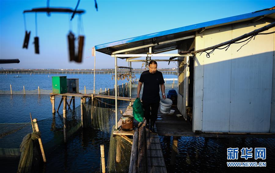 （图片故事）（10）“好水出好蟹”——一个阳澄湖传统养蟹人的故事