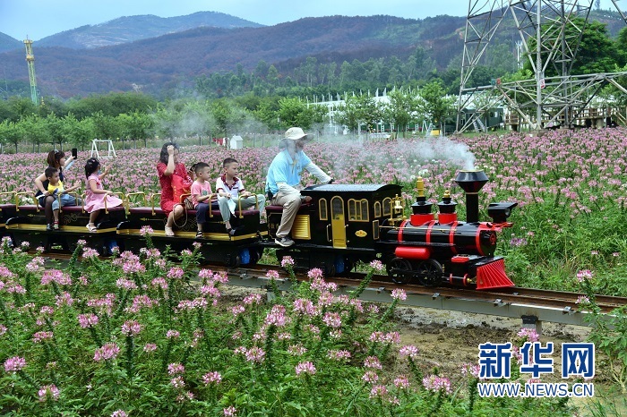 花田小火车是骑坐式迷你蒸汽小火车,仿古老的火车模型,有着经典的复古