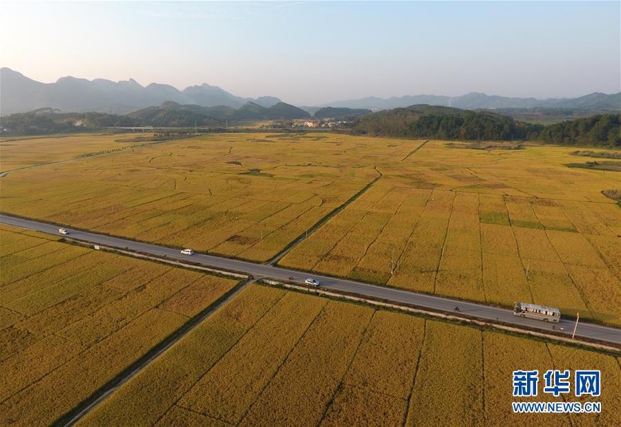 广西上林:乡村路网建设助脱贫