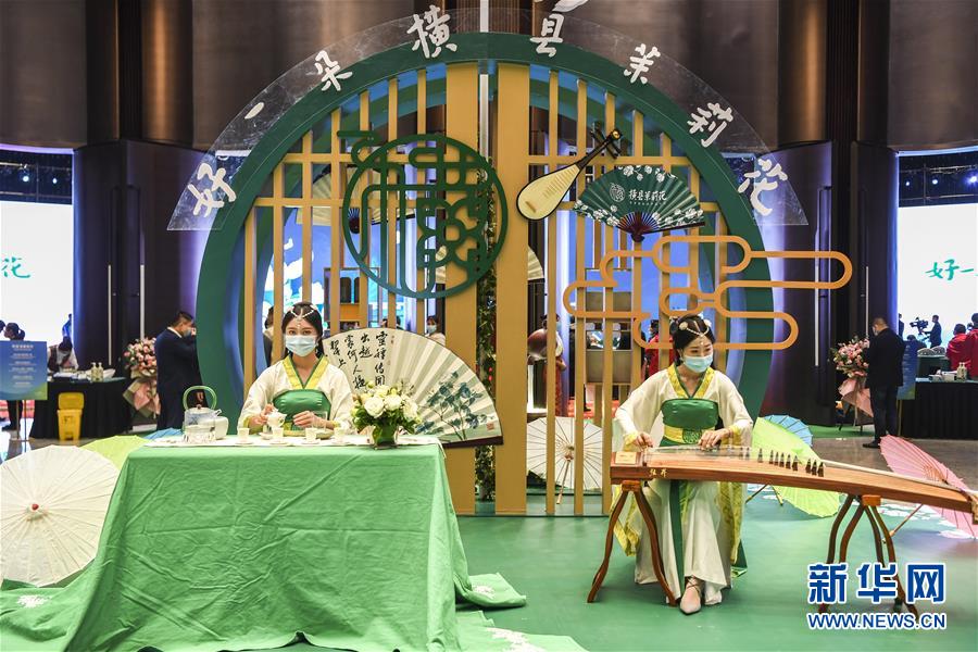 （新華視界）（1）第二屆世界茉莉花大會在廣西南寧舉行