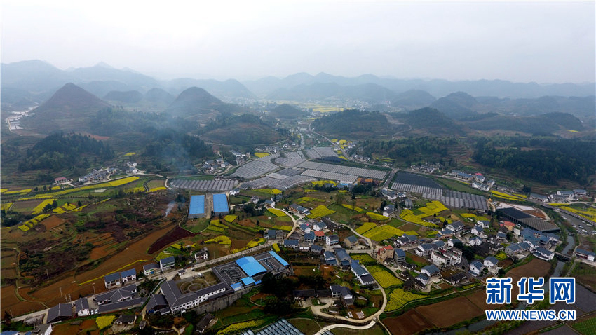 图为3月26日航拍的贵州遵义市播州区枫香镇花茂村春景.