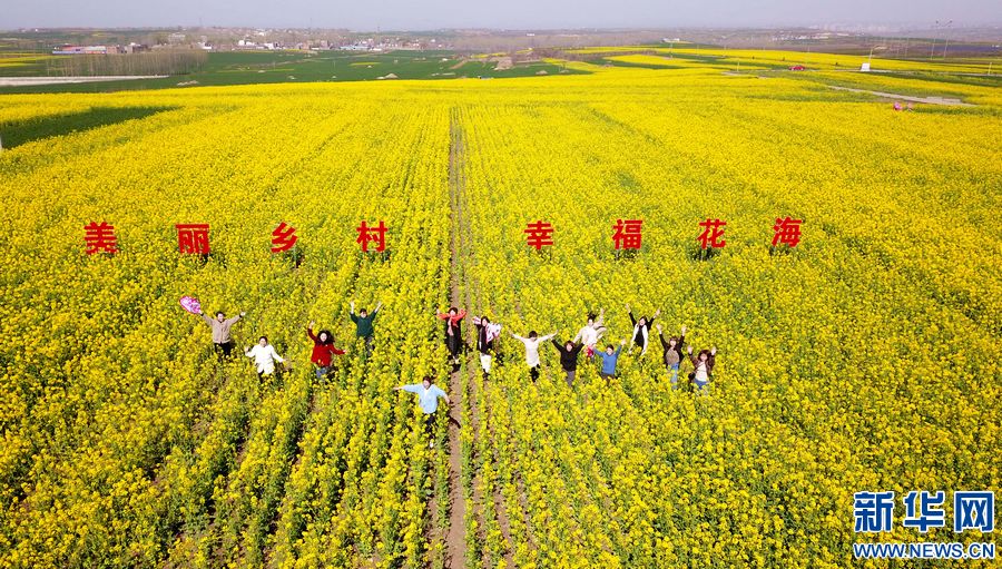 河南汝阳:美丽乡村 幸福花海