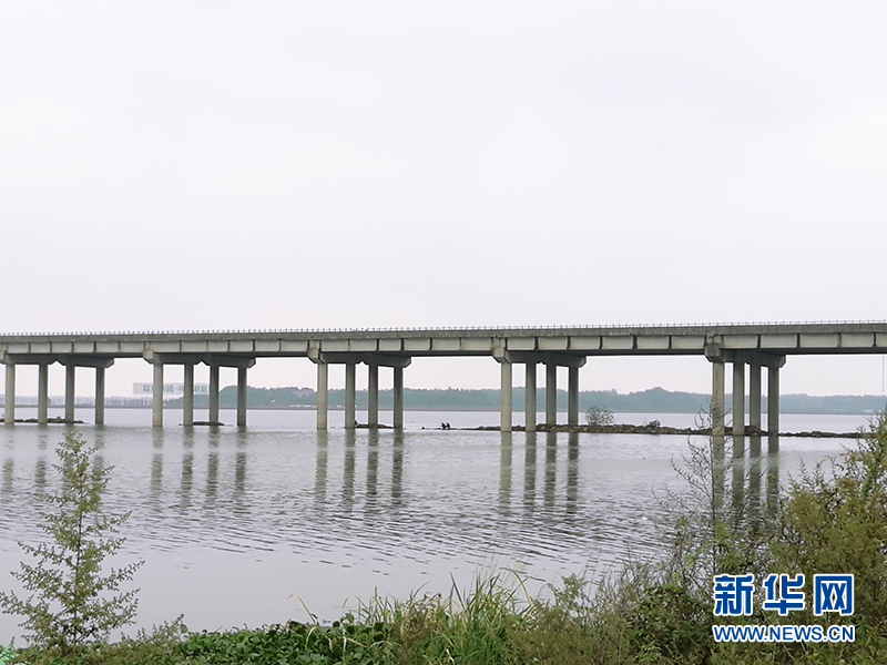 10月19日,不少咸宁市民在京珠高速斧头湖大桥下垂钓.