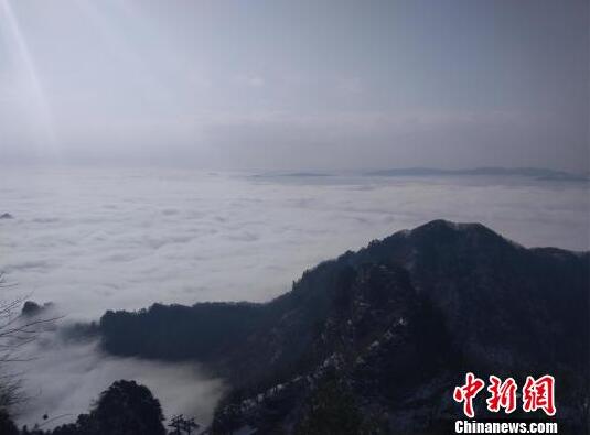     武當山出現雲海景觀　劉洋　攝