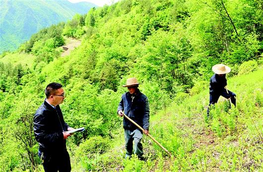 图集 4月18日,兴山县古夫镇咸水村贫困户林明朗从村干部李鑫手里接