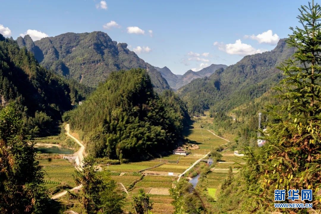 湖北恩施沙坝村:大山深处的"动物园"