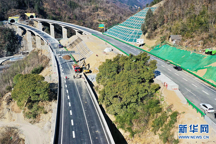 图为保神高速公路前坪村段,路中间的800年古树巍然耸立.