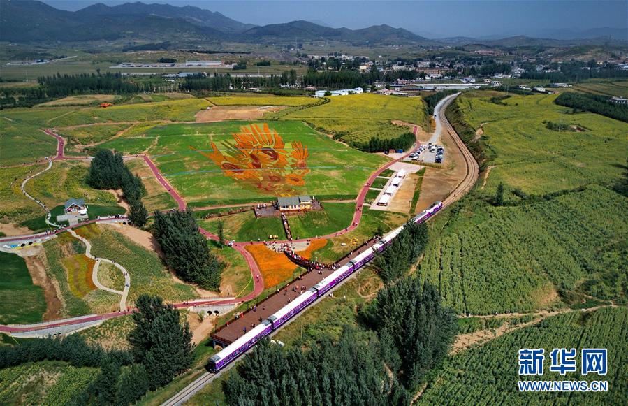 （服务）（2）秦皇岛山海旅游观光火车进行项目观摩测试