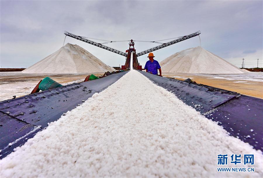 （经济）（2）河北唐山：海盐丰收货满仓
