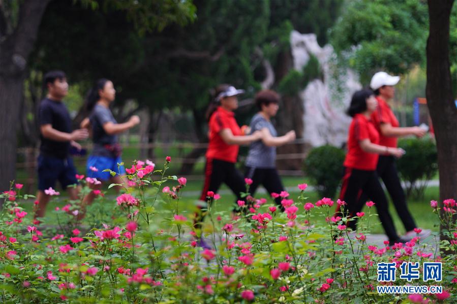 （体育）（4）全民健身——河北邢台：公园徒步享健康