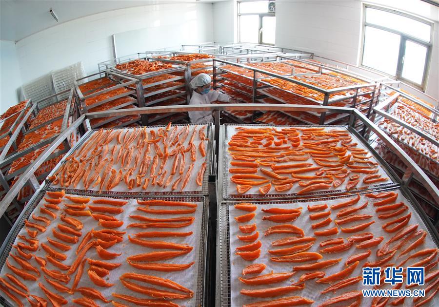 （经济）（4）河北滦南：小红薯大产业