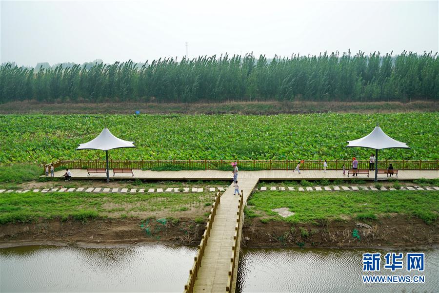 （社会）（3）河北清河：推进大运河文化带建设