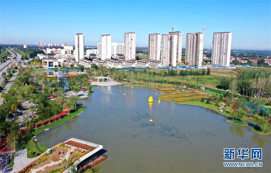 （环境）（4）河北文安：打造美丽水环境  助力绿色发展