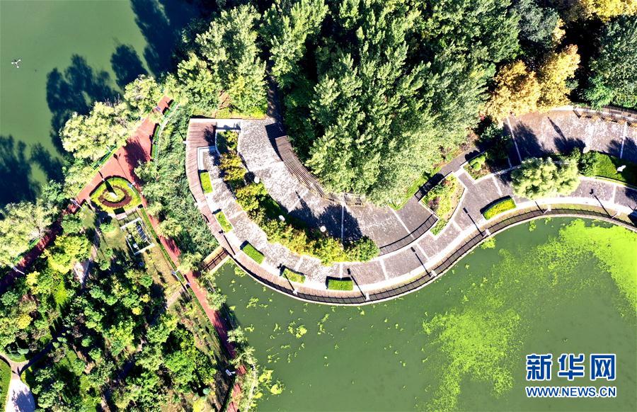 （環境）（5）河北文安：打造美麗水環境  助力綠色發展