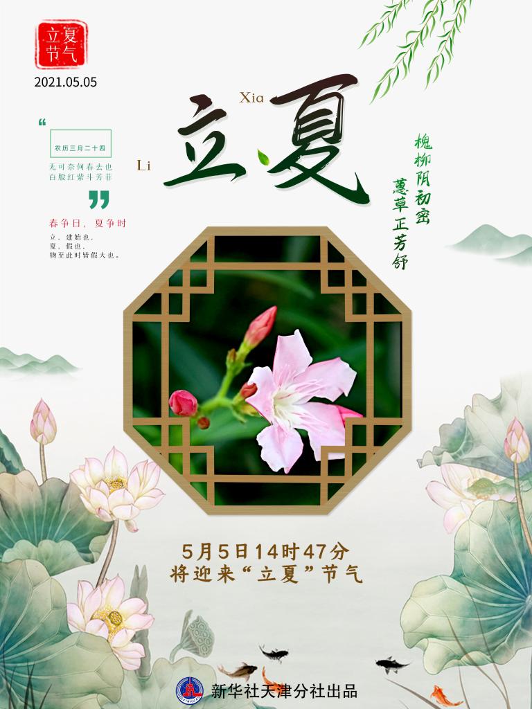 槐柳阴初密蕙草正芳舒：夏天，你好！-新华网