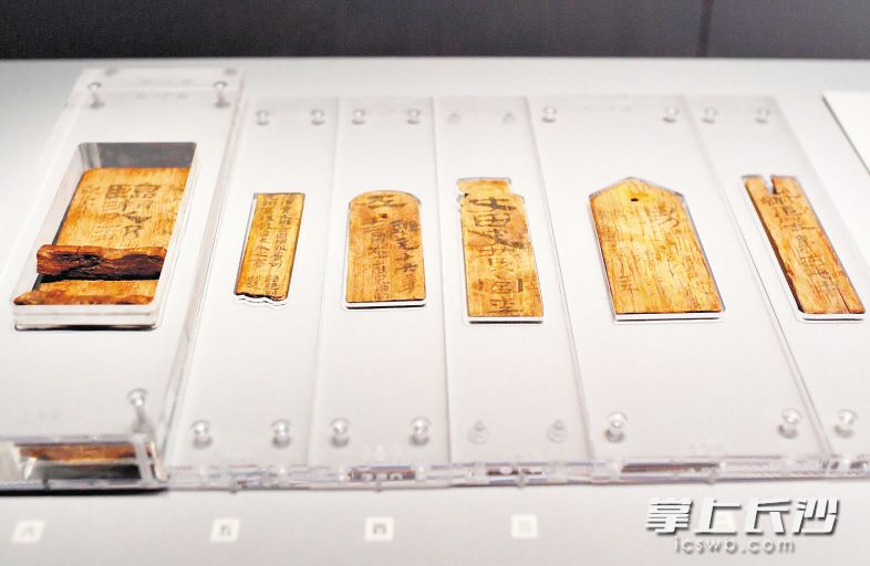 中國歷代簡帛書法展展品 除署名外均為資料圖片