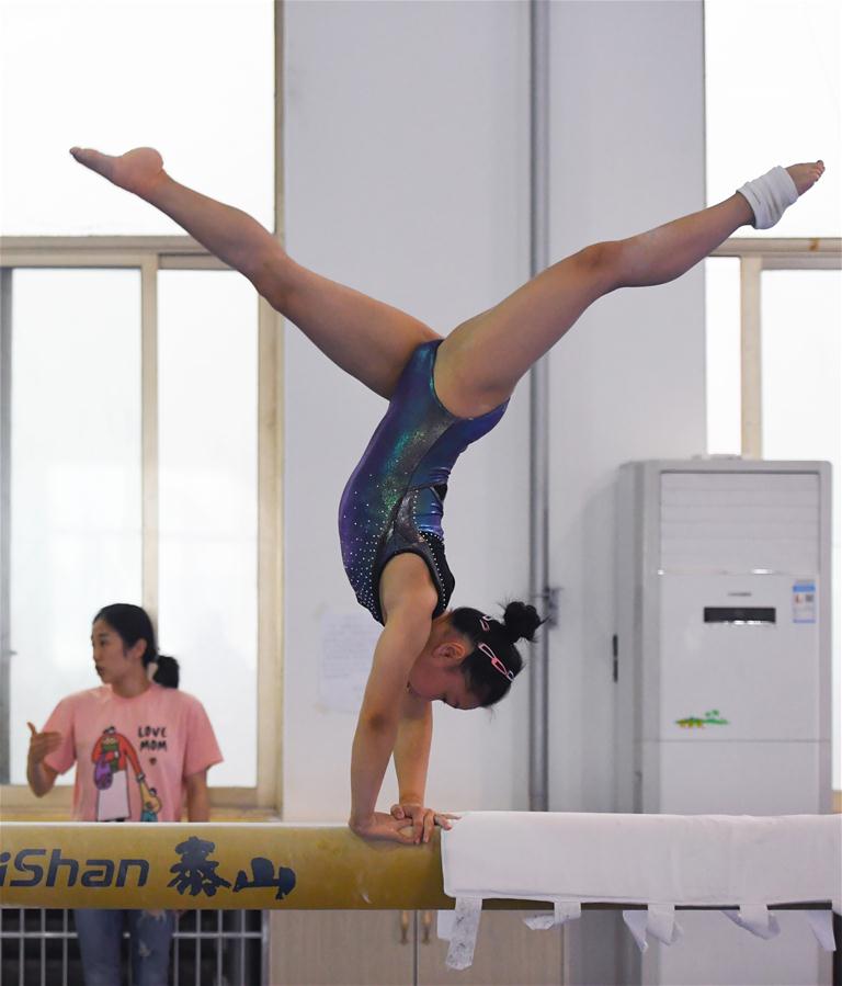 （體育）（8）體操——湖南體操隊訓練備賽