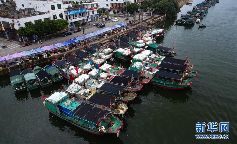 （环境）（4）海南：渔船回港避台风