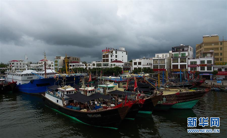 （环境）（5）海南：渔船回港避台风