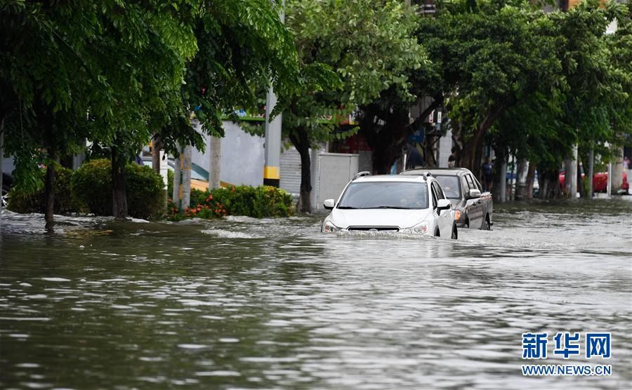 （環境）（2）颱風“韋帕”帶來強降雨