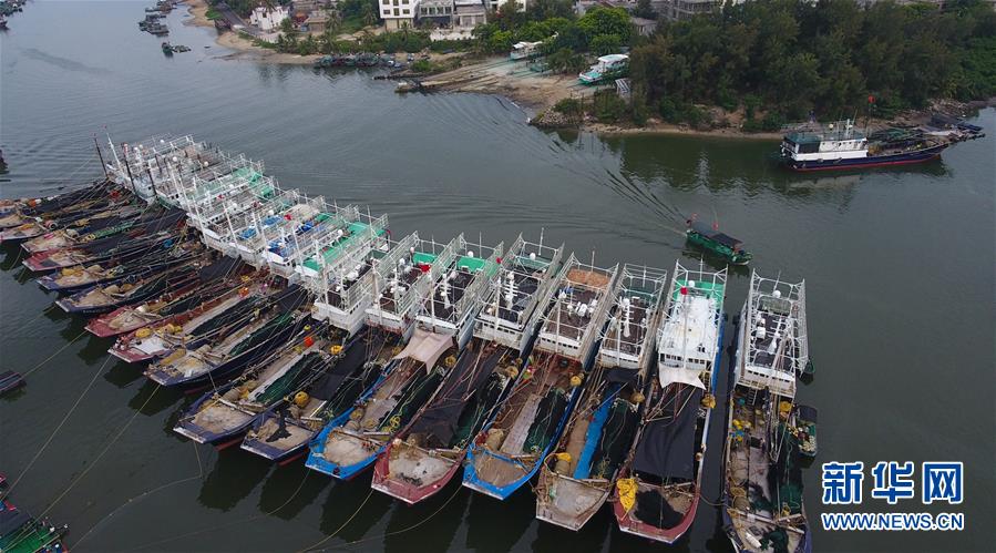 （环境）（2）海南琼海：渔船回港避台风