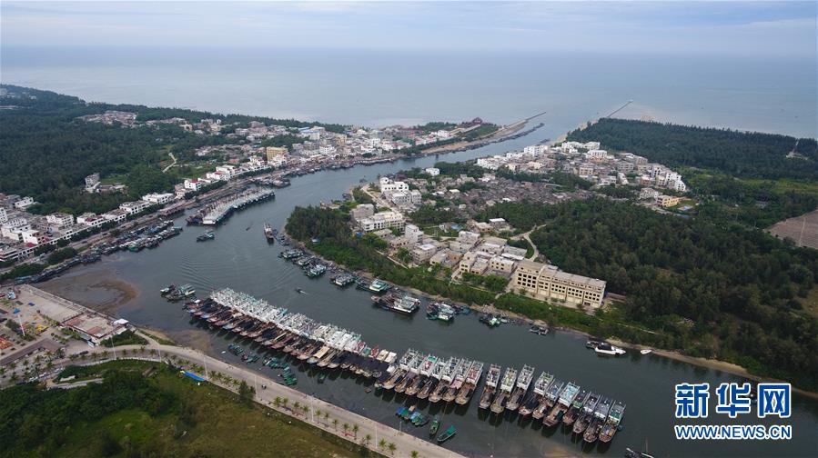 （环境）（6）海南琼海：渔船回港避台风