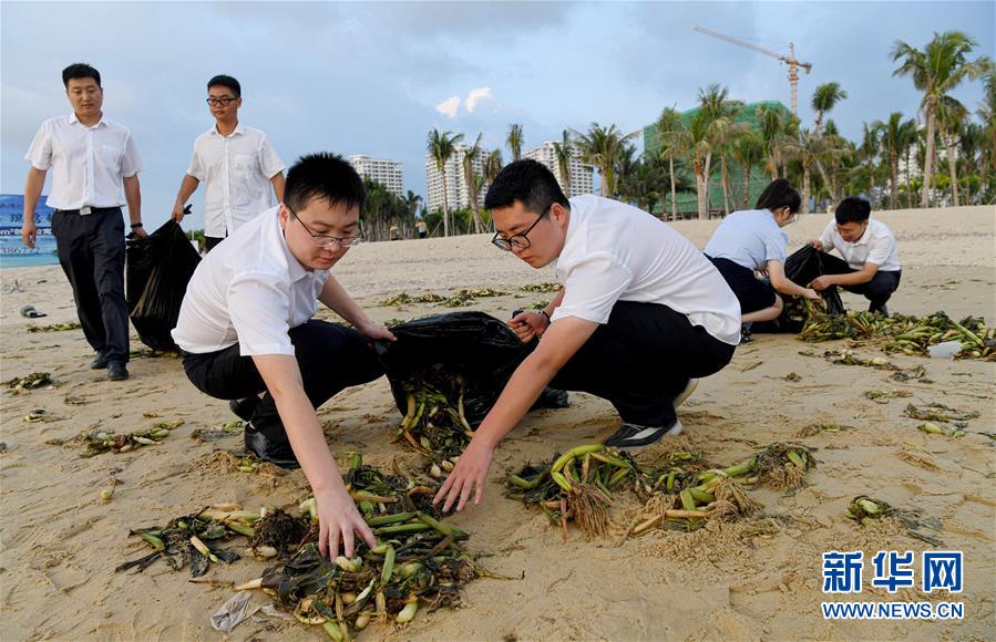 （社会）海南乐东：清理海滩垃圾  保护海洋环境