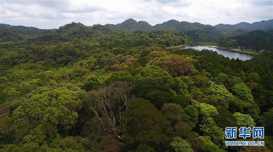 （社会）（11）海南热带雨林国家公园：打造自贸港生态名片