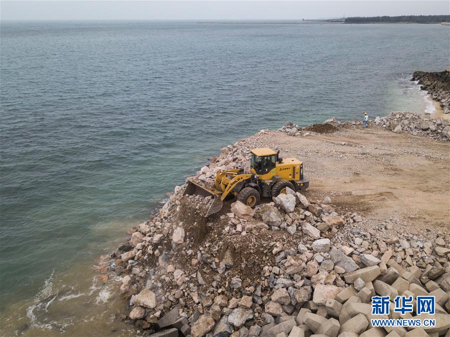 （经济）（3）海南洋浦：建设新码头 完善港区功能