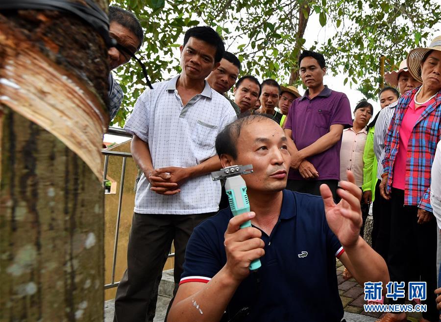 （社會）（1）海南瓊中：發放電動割膠刀 助農民提高割膠效率 