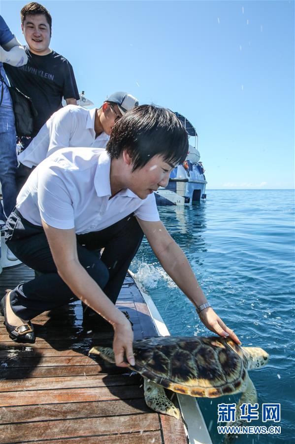 （环境）（3）海南陵水举行2020年南海海龟放流活动