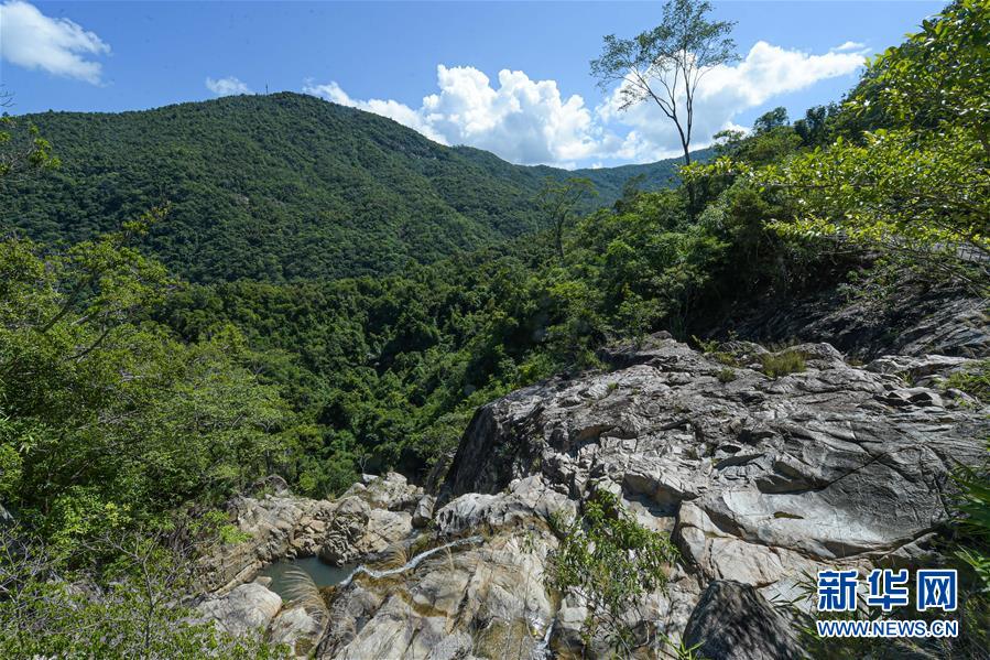（环境）（1）探访海南热带雨林国家公园