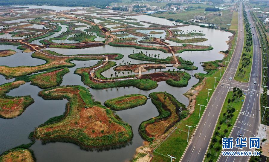 （環境）（2）海口江東新區生態修復