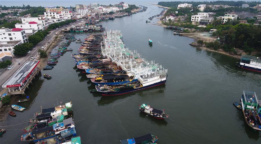 海南琼海：渔船回港避台风