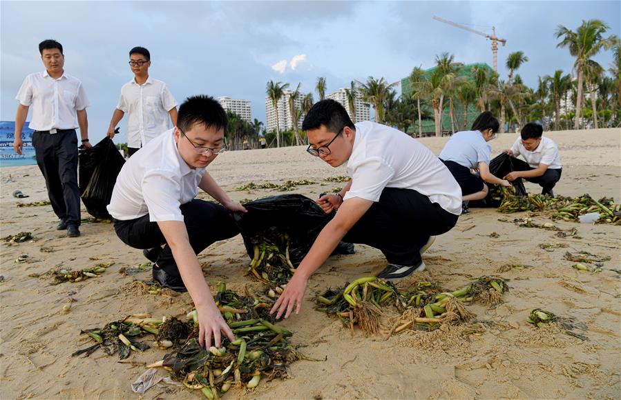海南乐东：清理海滩垃圾 保护海洋环境
