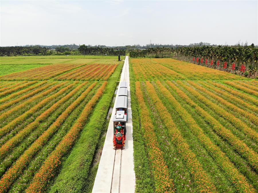 海南瓊海：農旅結合助推鄉村振興